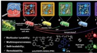 Innovative Fluorescent Hydrogel for Adaptive Color-Changing Biomimetic Skins