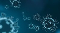 Johns Hopkins Researchers Launch High-Throughput Platform for Rapid Coronavirus Antiviral Compound Screening