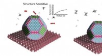 Catalysis Breakthrough: Solving the Structure-Insensitivity Paradox
