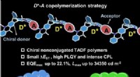 Chiral TADF-Active Polymers: Advancing High-Efficiency Circularly Polarized OLEDs