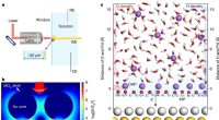 Unveiling Interfacial Water Dynamics on Palladium Single-Crystal Surfaces via Advanced Raman Spectroscopy and Simulations