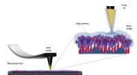 Atomic Force Microscopy Reveals Coronavirus Surface Adhesion Energy for Enhanced Detection