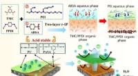 Advanced Dually Charged Acid-Resistant Nanofiltration Membrane for Efficient Ion Separation