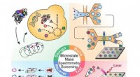 Revolutionizing Enzyme Screening: Metabolic Biosensing Maps Catalysis with Microscale MS
