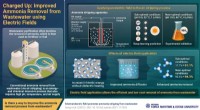Electric Fields Enhance Ammonia Removal Efficiency in Wastewater Treatment