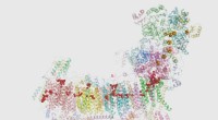 Atomistic Simulations Reveal Novel Molecular Valves in Mitochondrial Complex I