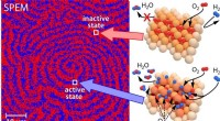 Rhodium Catalyst Surface State Revealed in Oscillatory Hydrogen Oxidation Study