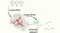 MIT s Light-Driven Catalyst Mimics Photosynthesis for Efficient Chemical Reactions