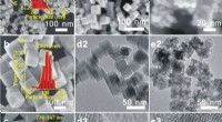 Cubic Cu2O Nanocrystals: A Highly Selective Catalyst for Efficient Propylene Oxide Synthesis