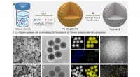 Boosting Single-Atom Catalyst Performance with Mesoporous Structural Design