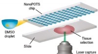 Imaging-Enhanced nanoPOTS for Advanced Single-Cell Protein Profiling