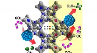 Highly Selective Tandem Electrocatalysis for CO2-to-Ethylene Conversion Using Nickel Single Atoms and Copper Nanoparticles