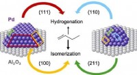 Tunable Catalysis: How Particle Size Controls Reaction Selectivity in Palladium Nanocrystals