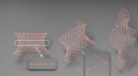 Harvard SEAS Develops Revolutionary Shape-Shifting Material for Multifunctional Applications