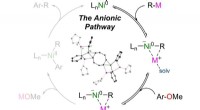 Nickel Catalyst Breakthrough: Cross-Coupling of Aromatic Ethers via Nickelate Anion Mechanism