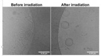 Synthetic Cell Machinery Programs Real Cells to Detect and Respond to Light and Temperature