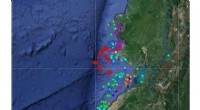 Researchers Tag Humpback Whales with Satellites to Study Climate Impacts on Migration in Ecuador