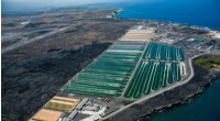 Algae-Based Foods Go Global: Scaling Sustainable Marine Aquaculture for Nutrition