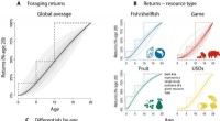 How Complex Foraging Skills Extend Human Developmental Periods: A Data-Driven Analysis