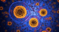 Breakthrough Mathematical Model Accelerates Path to Effective Stem Cell Therapies