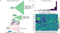 Genomic Diversity and Phylogenetic Analysis of Endogenous Retroviruses in Darwin s Finches