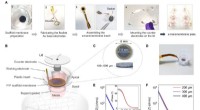 The e-Transmembrane Platform: Organic Bioelectronic Device for Advanced 3D Cell Culture Hosting and Monitoring