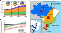 Study Reveals Brazil Can Increase Soybean Production Without Amazon Deforestation