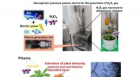 Tohoku University Breakthrough: Plasma-Generated Gas Boosts Plant Immunity Against Pathogens