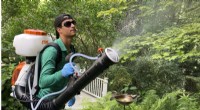 The Rise of Professional Mosquito Control: Navigating Climate Change and Pesticide Risks