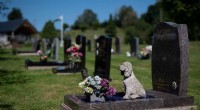 UK Pet Owners Confront 10% Rise in Cremation Costs Amid Record Inflation