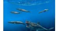 New 3D Model Confirms Megalodon Could Devour Prey the Size of Entire Killer Whales