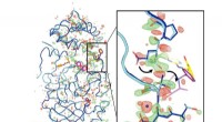 First High-Resolution 3D Structure of SARS-CoV-2 Main Protease at Human Body Temperature