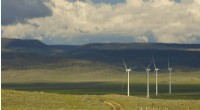 Wind Energy Expansion Threatens Golden Eagle Populations in the Western US