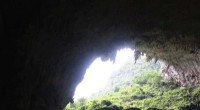 Revealing the Biotic Colonization History of Subtropical East Asian Caves
