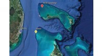 Scientists Document Rare Dolphin Alliance Near Bimini, Bahamas