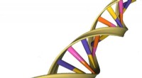 Study Reveals High DNA Damage Prevalence in Human Skin-Derived Stem Cell Lines