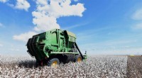 Brazilian Farmers Pioneer Sustainable Cotton Cultivation