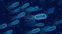 Promising Drug Candidate Targets Over 300 Drug-Resistant Bacteria in Urinary and Lung Infections