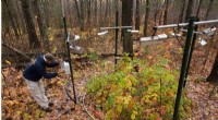 University of Michigan Study: Modest Climate Change Could Reshape Northern Forests