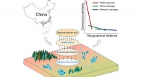 Study Reveals Spatial Distribution of Phytoplankton and Zooplankton in Southeast China Reservoirs