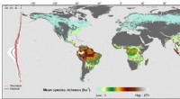New Study Explains Baffling Trends in Global Tree Species Richness