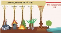 Microbial Nitrogen Oxide Emissions: A Key Component of the Nitrogen Cycle