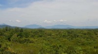 Brazil s Atlantic Forest: 20 Years of Conservation & Ecological Restoration to Restore Biodiversity