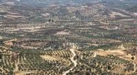 Revitalizing Degraded Southern EU and Mediterranean Soils for Climate‑Neutral Agriculture