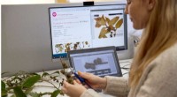Victoria’s Royal Botanic Gardens Revives VicFlora: A Powerful New Tool for Plant Identification