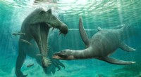 Sahara Plesiosaur Fossils Reveal Freshwater Habitats, Challenging Marine-Only Assumptions