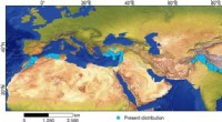Winter Precipitation & Temperature Define Cedrus Distribution Across the Mediterranean and Himalaya