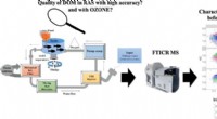 Ozone Treatment Improves Fish Health: Insights from Mass Spectrometry