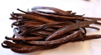 Israel’s First Commercial Vanilla: Unveiling the World’s Most Powerful Natural Flavor