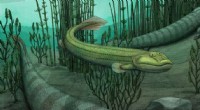 Discover Qikiqtania: The Aquatic Fossil Fish That Stayed in Water While Early Tetrapods Explored Land